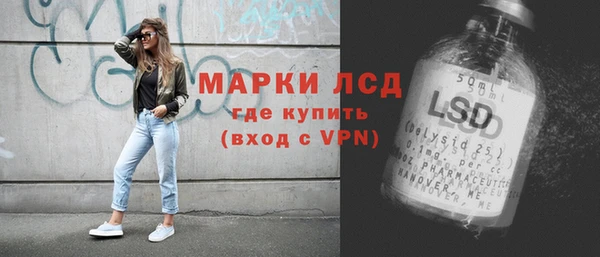 шишки Белокуриха