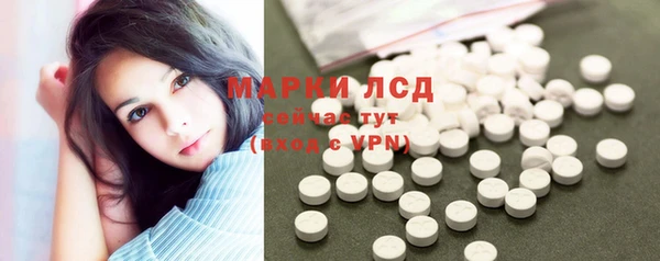 шишки Белокуриха