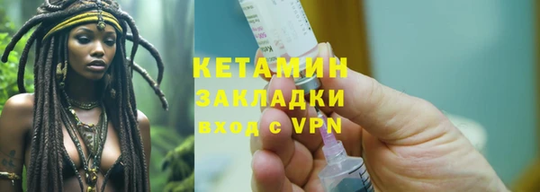 шишки Белокуриха