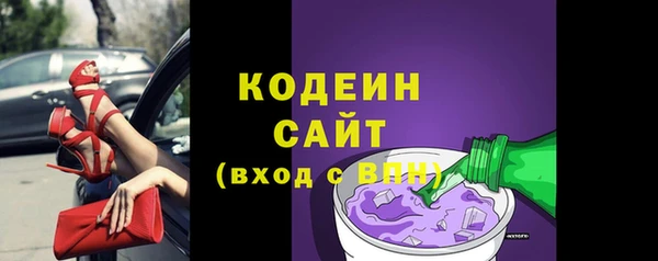 шишки Белокуриха