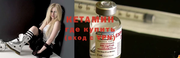 шишки Белокуриха