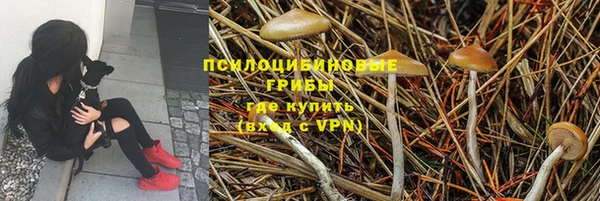 трава Беломорск