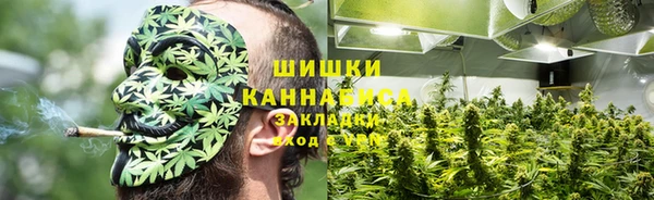 шишки Белокуриха