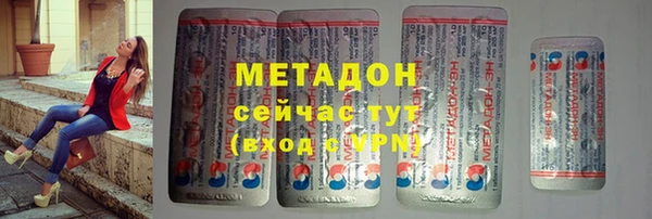 шишки Белокуриха